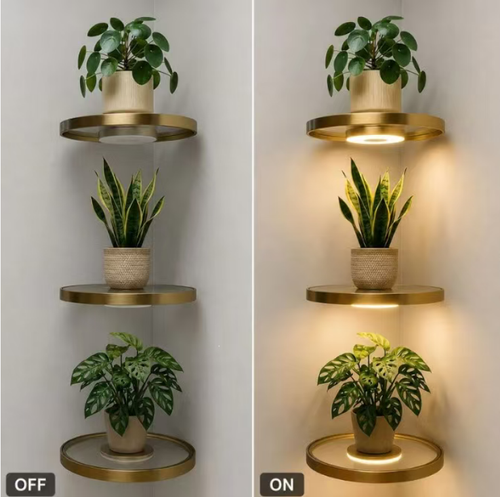 Encomende hoje e receberá 3 prateleiras de iluminação LED flutuantes para parede. A estrutura de suporte oculta cria um efeito flutuante e está equipada com luzes circulares embutidas que podem emitir luz suave. Podem ser utilizadas para decoração e exposição na parede. Ao instalar, faça furos na parede maciça para fixação. Para situações em que apenas itens leves sejam usados, recomenda-se a instalação da fiação por profissionais.
