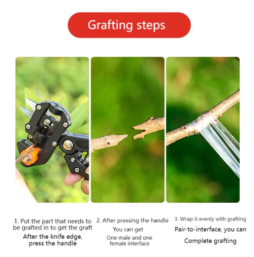 Professional-grade tree grafting tool, an efficient grafting instrument. With 3 different blade heads, it is suitable for various types of trees. The cutting process is 85% more effortless and has a high degree of fit, thereby increasing the survival rate. The operation is extremely simple, making it easy for beginners to master. The body is rust-proof and durable, suitable for batch grafting in orchards and gardening potting care. It is a tool for saving grafting efforts.