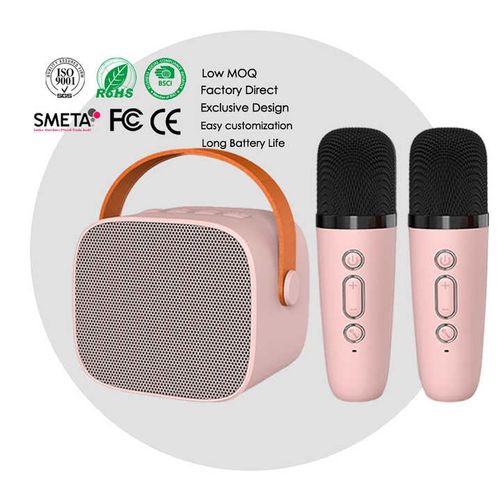 Portable RGB Karaoke Bluetooth Speaker with Wireless Microphone