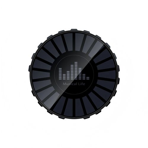 1 pcs Synchronized Rhythm Light