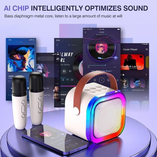 Mini machine de karaoké, adaptée aux adultes et aux enfants, enceinte karaoké Bluetooth portable, équipée de 2 microphones sans fil et de lumières LED colorées, parfaite pour les fêtes d'anniversaire en famille !