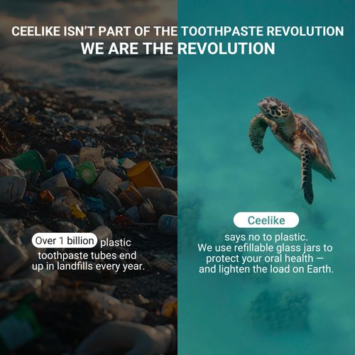 Solid Toothpaste – Fluoride-Free, Eco-Friendly, Portable, Long-Lasting Fresh Breath | Natural Oral Care