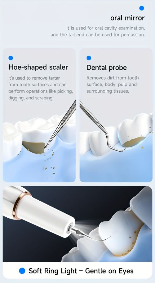 Electric Teeth Cleaner