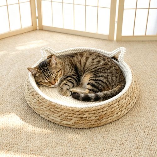 cat bed