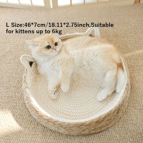 cat bed