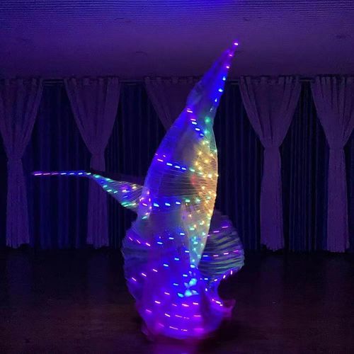 LED Luminous Butterfly Wing Belly Dancing Performance Costumes Stage Festival Party Lighting Cloak Luminous Butterfly Wing