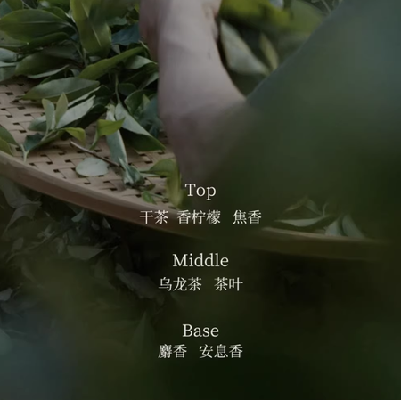 生日禮物摯物志若茗系列EDP淡香水茶香持久留香男女士香水