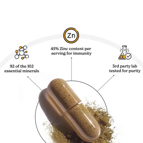 Shilajit, Ashwagandha & Sea Moss Capsules | Lab-Tested for Purity | Helps Boost Energy & Immunity | 2-Month Pack