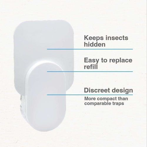Sticky mosquito killer lamp