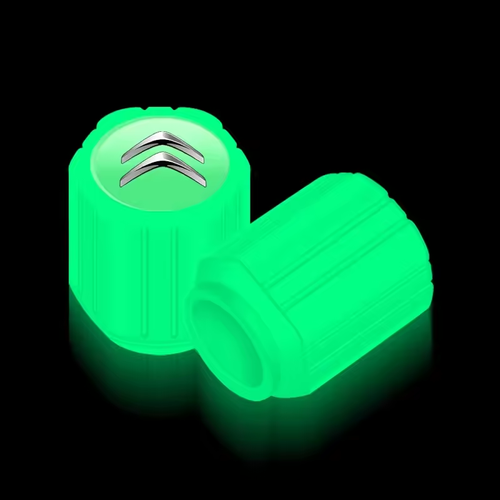 Universal Luminous Fluorescent Tire Valve Caps for 90% Vehicles Night Visibility Upgrade（10pcs）