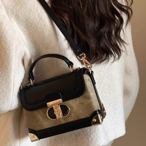 Walnut Box Small Square Bag Women 2025 New Explosive Model Super Hot Hand Carry Shoulder Crossbody Bag