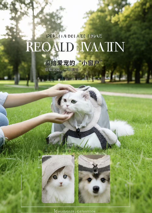 Luxury Cute Designer Dog Cat Pet Sling Carriers Bag Portable Cat Travel Shoulder Bag