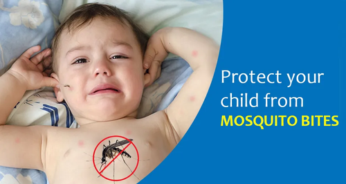 Magnetic Mosquito Mesh – No Mosquito, Only Fresh Air!