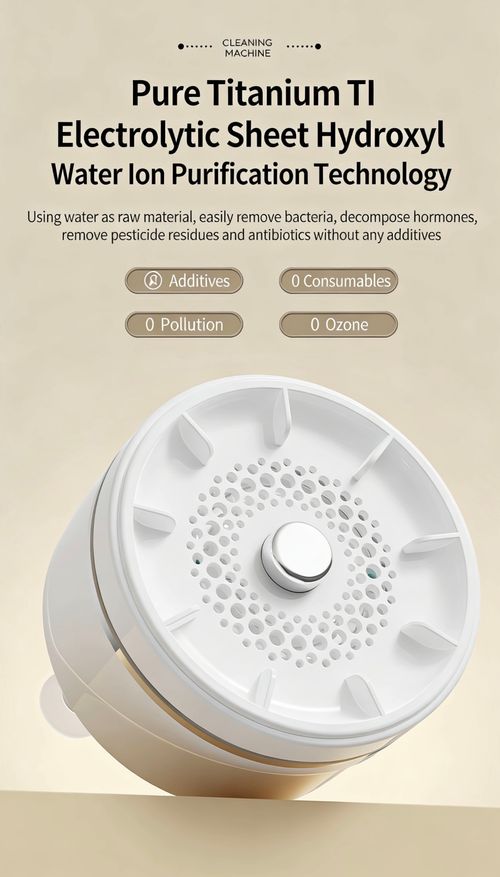 Fruit and Vegetable Washer