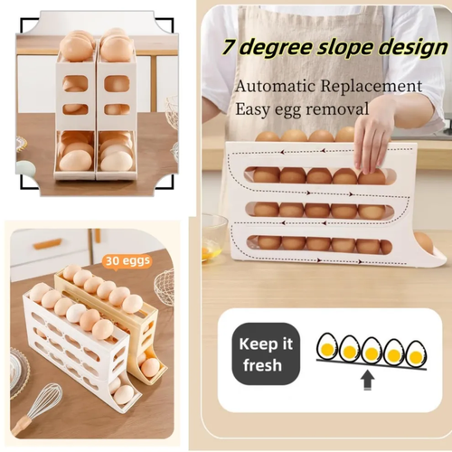Egg Holder