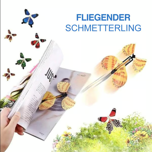 flying butterfly