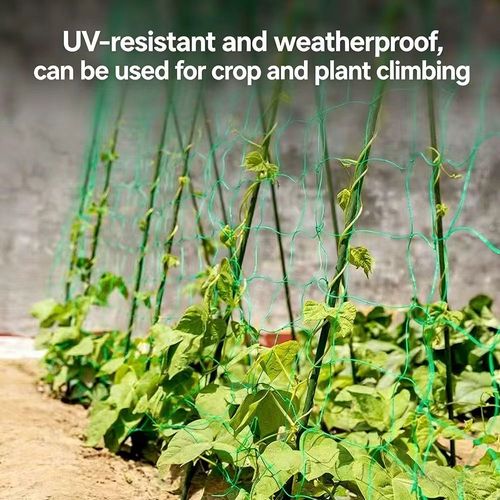 Plant Climbing Net