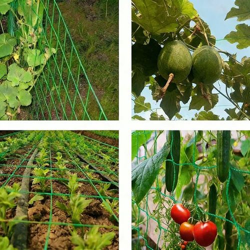 Plant Climbing Net