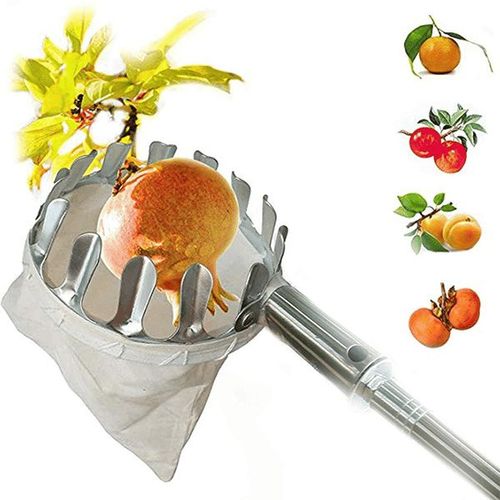 Fruit Picker Tool