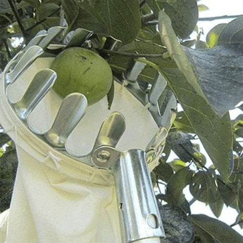 Fruit Picker Tool