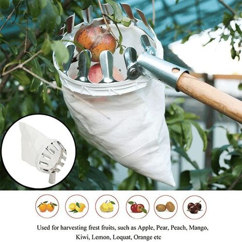 Fruit Picker Tool