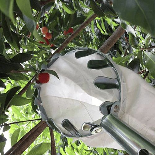 Fruit Picker Tool