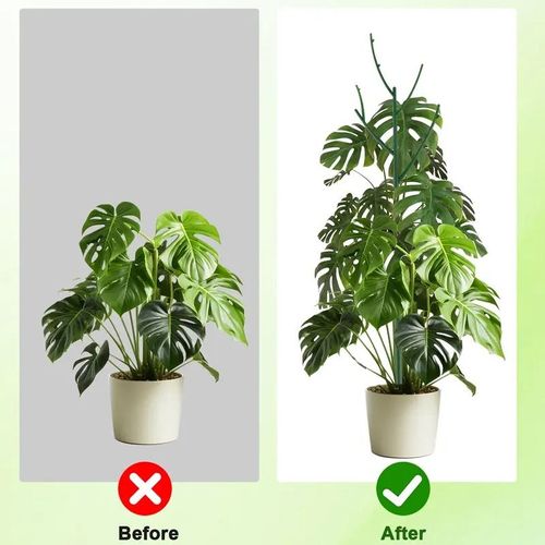 Plant Support Stakes