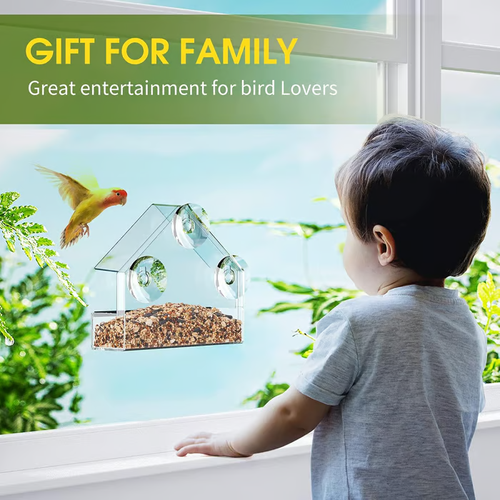 Outdoor Hanging Feeders