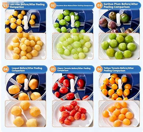 Multipurpose Automatic Fruit & Vegetable Peeler Machine