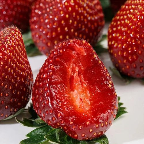 Strawberry Seeds