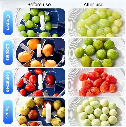 Multipurpose Automatic Fruit & Vegetable Peeler Machine