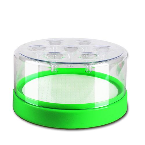fly trap