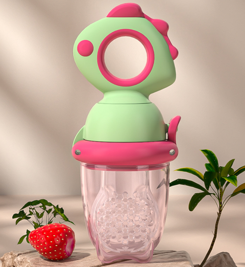 Fruit Pacifier