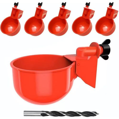Waterer Cup