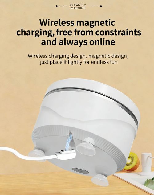 Fruit and Vegetable Washer