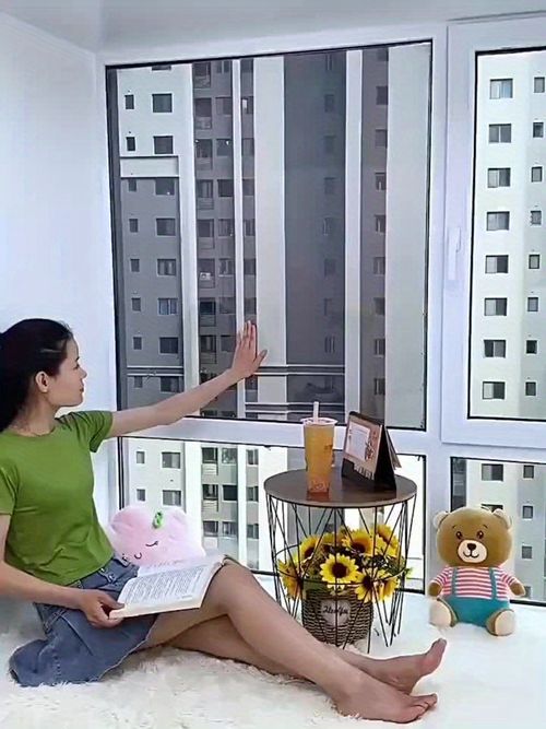 Privacy Window Film