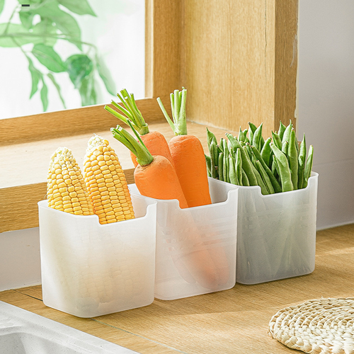 Multifunctional refrigerator container