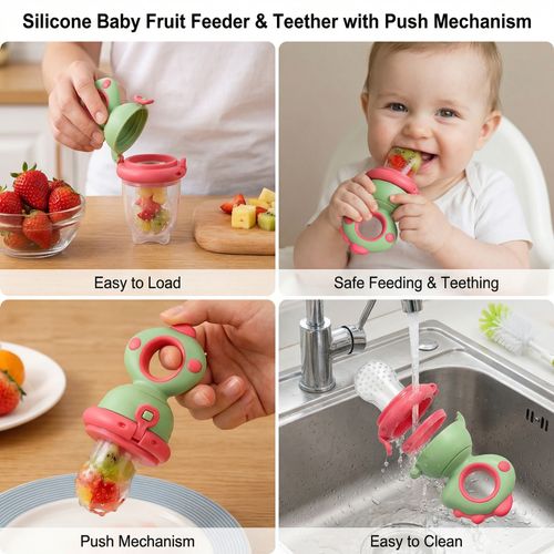 Fruit Pacifier