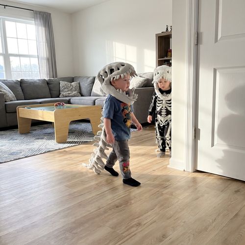 Dinosaur Onesie
