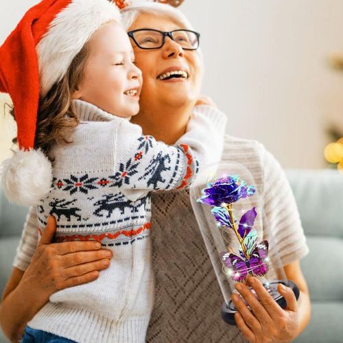 Eternal Rose Flower Led Light Up Rose in Glass Dome with Butterfly for Mom Girlfriend Boyfriend Daughter Women Teen Girl