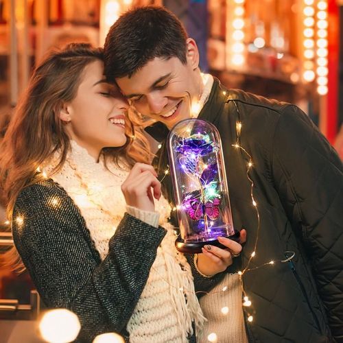 Eternal Rose Flower Led Light Up Rose in Glass Dome with Butterfly for Mom Girlfriend Boyfriend Daughter Women Teen Girl
