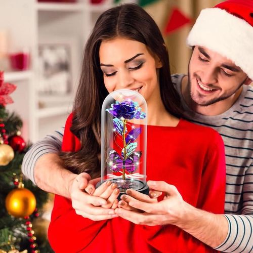 Eternal Rose Flower Led Light Up Rose in Glass Dome with Butterfly for Mom Girlfriend Boyfriend Daughter Women Teen Girl