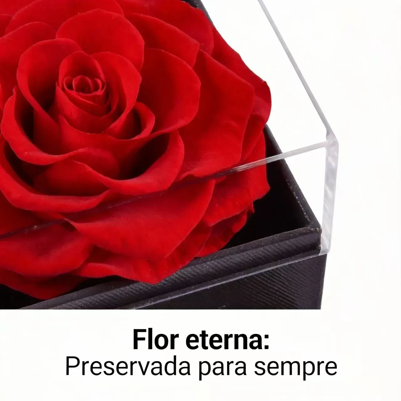 Dia dos Namorados em Luanda 🎁 Caixa de Joias com Rosa Preservada e Colar