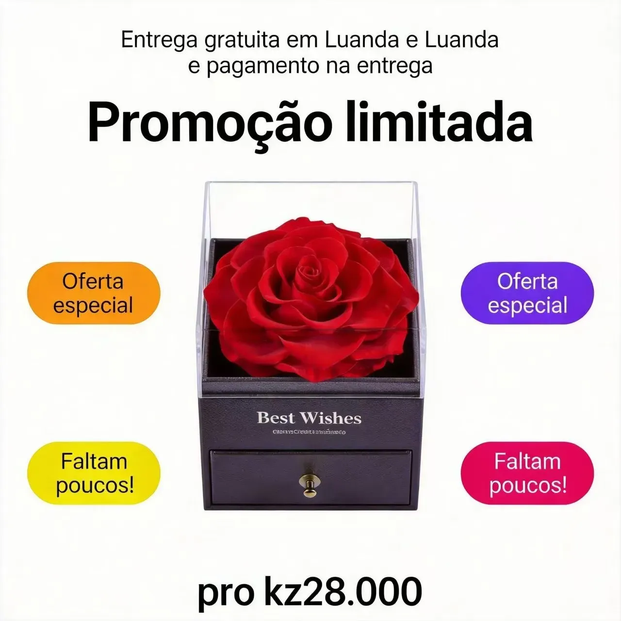 Dia dos Namorados em Luanda 🎁 Caixa de Joias com Rosa Preservada e Colar