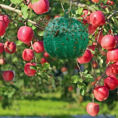 🎁 Hanging Environmental Fruit Fly Traps Sticky Traps