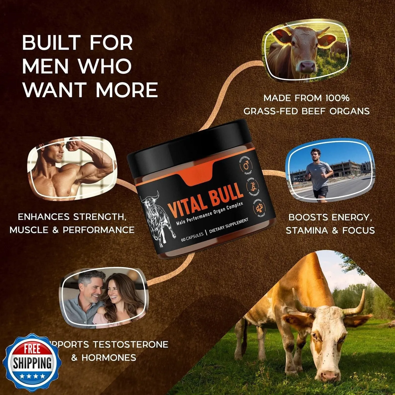Vital Bull Beef Organ Supplement for Men with Grass Fed Liver, Testicle, Prostate & Bone Marrow – Freeze Dried Beef Organ Capsules for Nutrient Support – 30 Day Supply