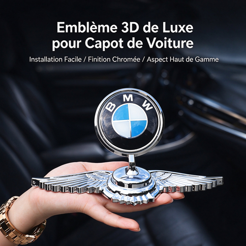 Décoration par emblème pour capot de voiture – Veuillez sélectionner le modèle approprié afin de faciliter l'expédition.
