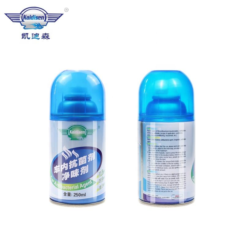Hot Sale Professional Car Purifier Automobile Deodorant Odor Remover Antisepsis Spray
