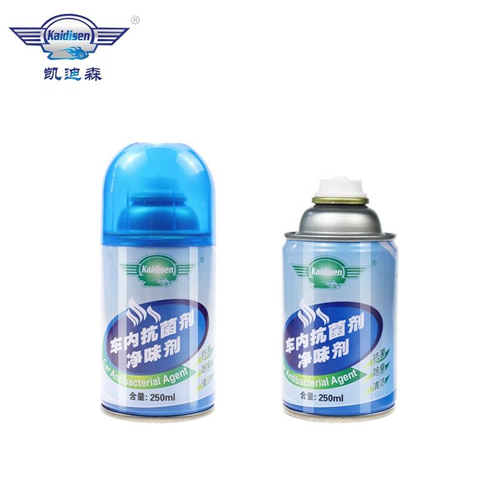 Hot Sale Professional Car Purifier Automobile Deodorant Odor Remover Antisepsis Spray