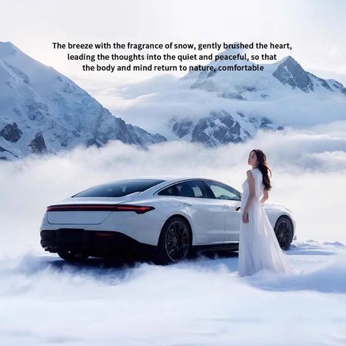 Hot Selling Solar Energy Smart Car Air Freshener Diffuser Cloud View Car Dashboard Perfume Accessories Aromatherapy Diffuser